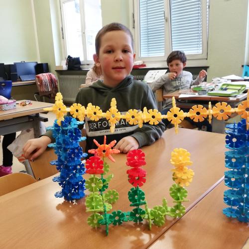 2c Michaels Blumen unter Sternenhimmel