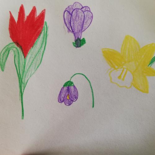 Frühling