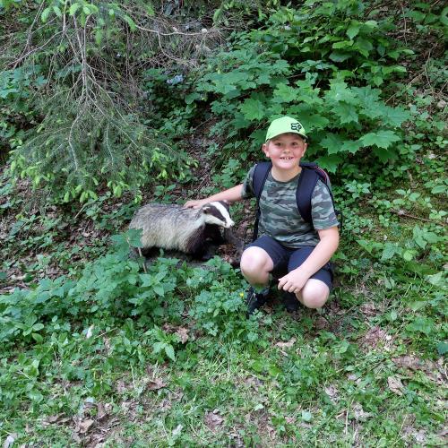 Der Wald und seine Bewohner