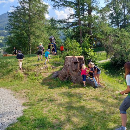 Der Wald und seine Bewohner