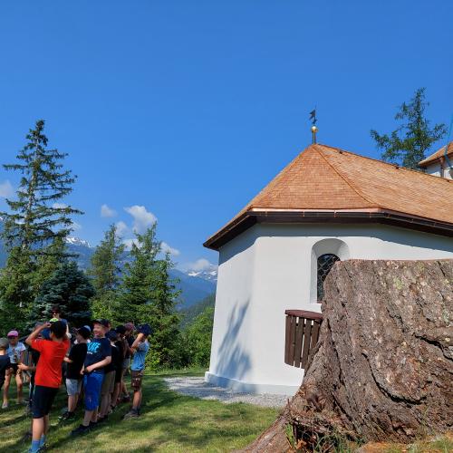Der Wald und seine Bewohner