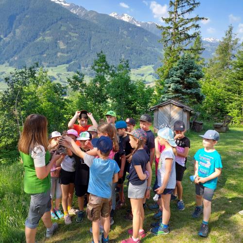 Der Wald und seine Bewohner