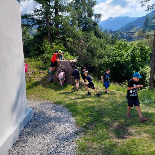 Der Wald und seine Bewohner