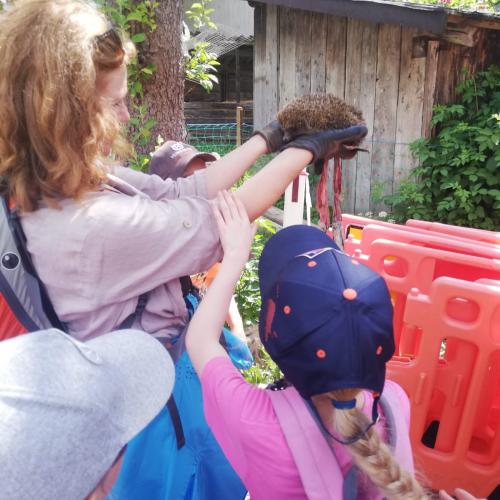 Wandertag 2a