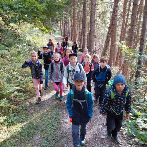 3. Klassen Wandertag
