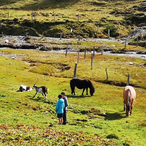 Wandertag 4c