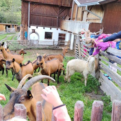 Wandertag 2. Klassen