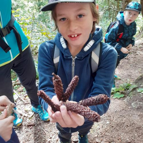 Wandertag 3b