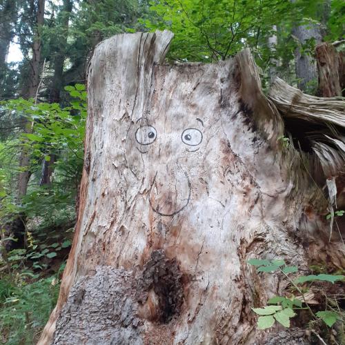 Wandertag 3b