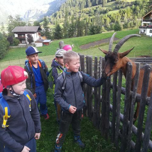 Wandertag 2ab