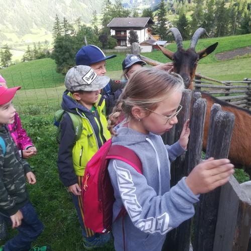 Wandertag 2ab