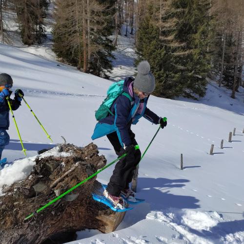 Schneeschuhwandern 2b - mutig