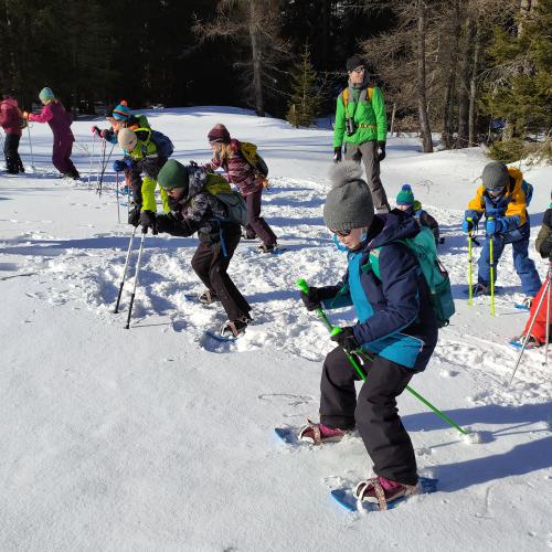 Schneeschuhwandern 2b - Hüpfen wie ein Hase