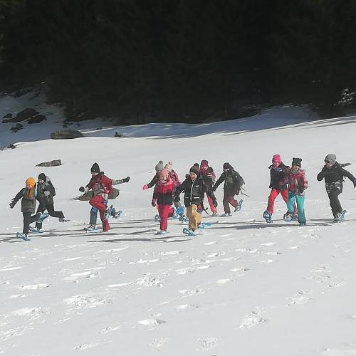 Schneeschuhwandern 2b