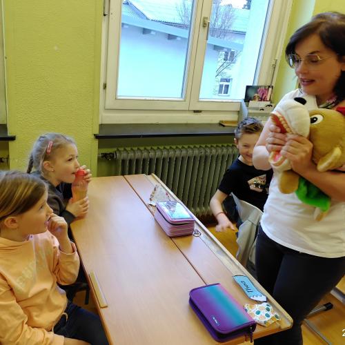 Kennt ihr schon alle Zähne?