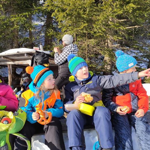 Schneeschuhwandern 2b - Entdeckung