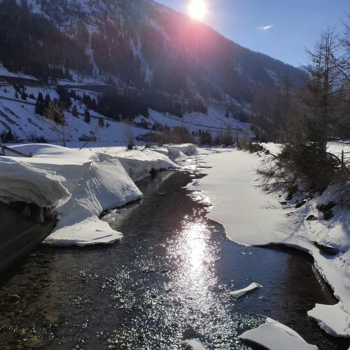 Schneeschuhwandern 2b -  Winter Wonderland