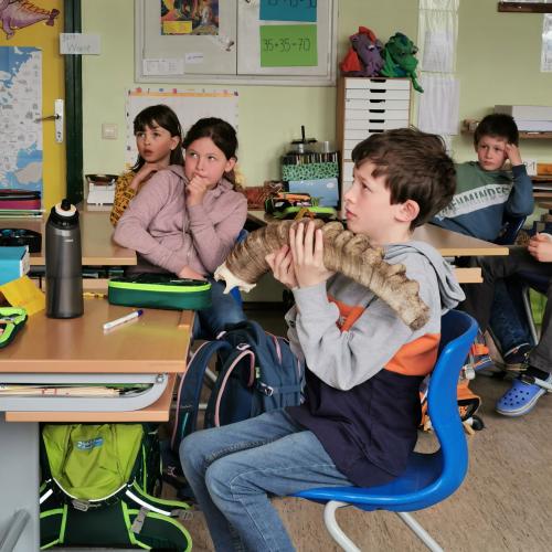Wasserschule