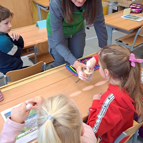 Wasserschule 3a