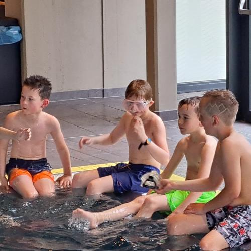 Schwimmen in Lienz