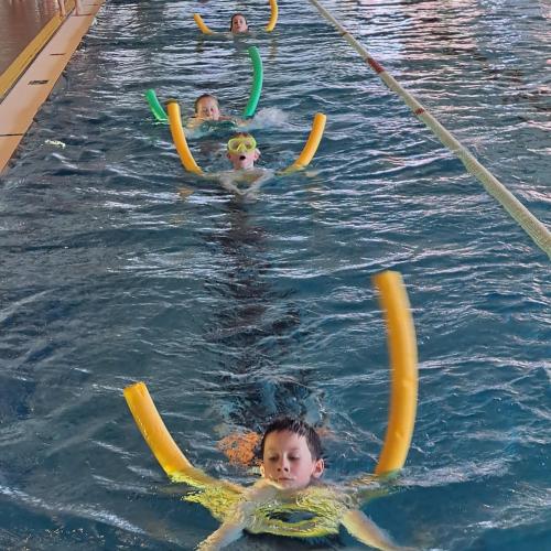 Schwimmen in Lienz