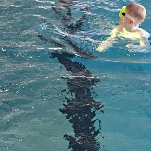 Schwimmen in Lienz