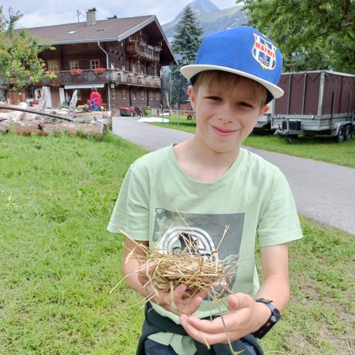 Exkursion Wiesenvögel 