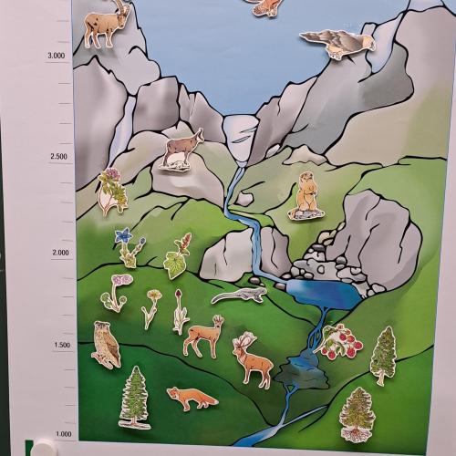 NP Klimaschule 4b