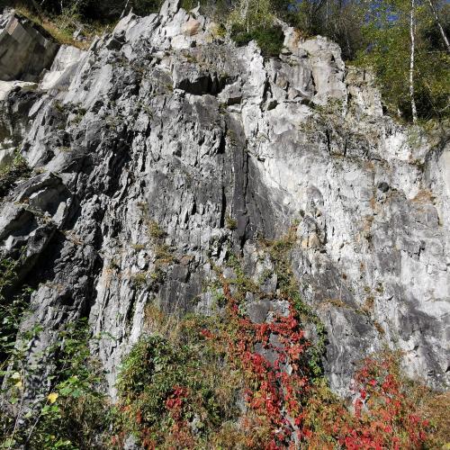 Wandertag