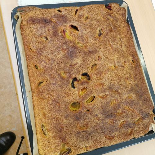 Zwetschkenkuchen 2a