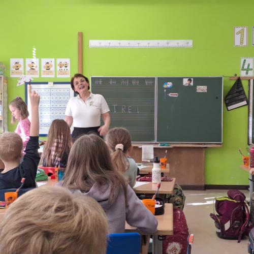 Zahngesundheitsvorsorge 1b