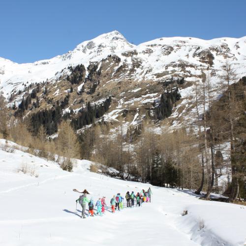 Schneeschuhwanderung 2b