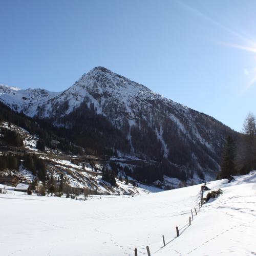 Schneeschuhwanderung 2b