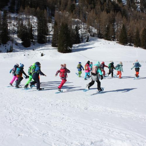 Schneeschuhwanderung 2b