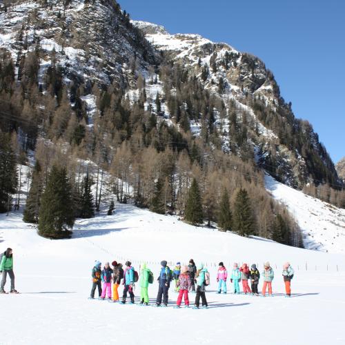 Schneeschuhwanderung 2b