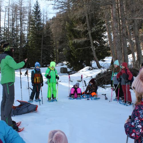 Schneeschuhwanderung 2b