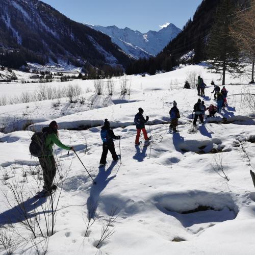 Schneeschuhwanderung 2ab