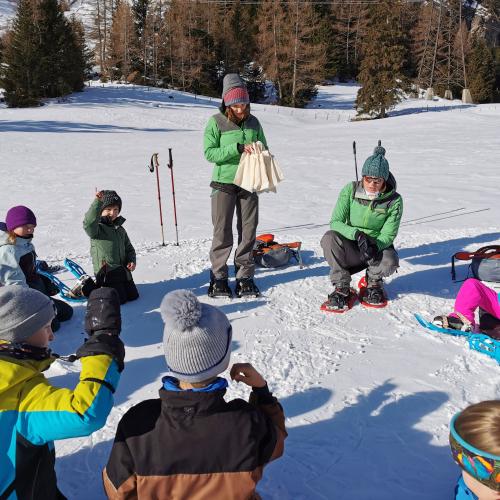Schneeschuhwanderung 2ab