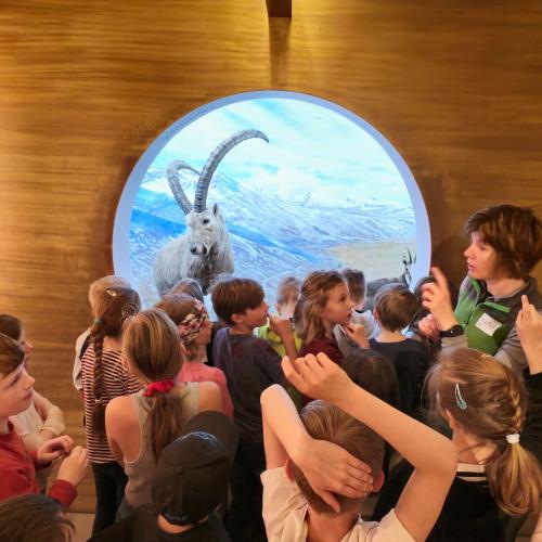 Besuch des Nationalparkhauses 3b