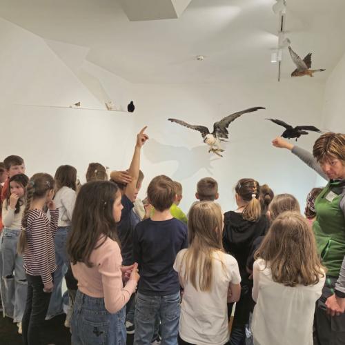 Besuch des Nationalparkhauses 3b