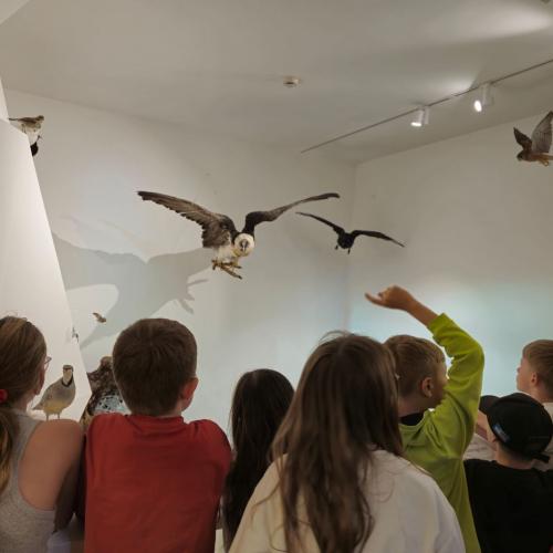 Besuch des Nationalparkhauses 3b