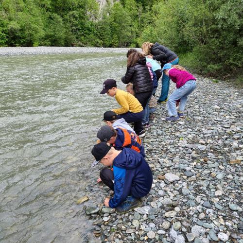 Die Kinder suchen Fliegenlarven im Wasser.
