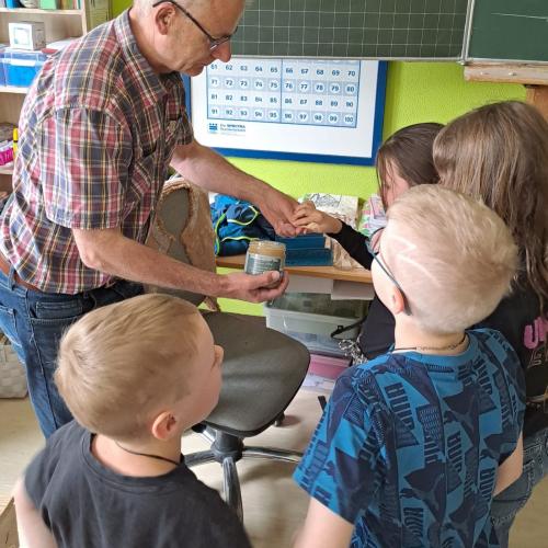 Die Kinder erfahren einiges über Bienen.