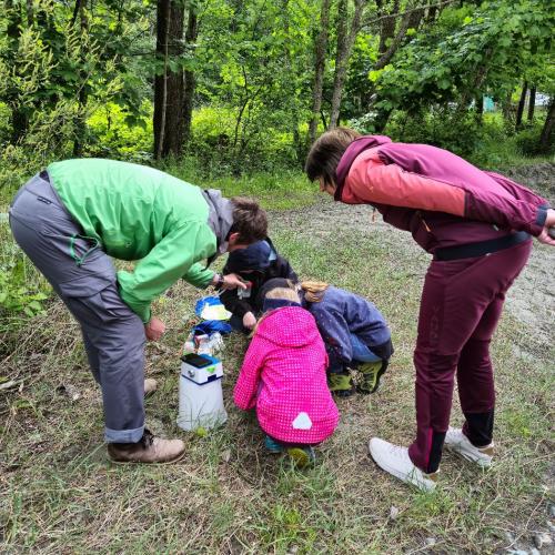 Kinder suchen Insekten