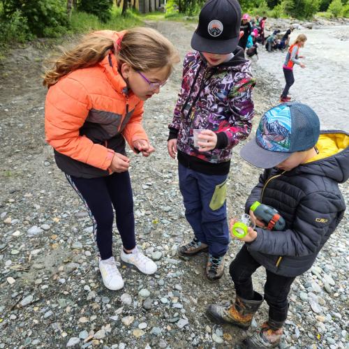 Die Kinder suchen Fliegenlarven im seichten Wasser.