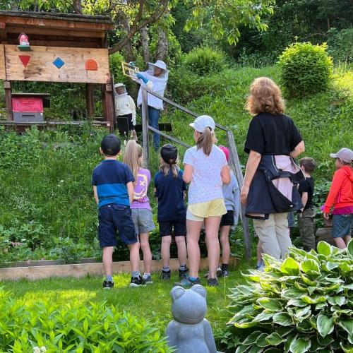 Die Kinder schauen sich die Bienenstöcke an.