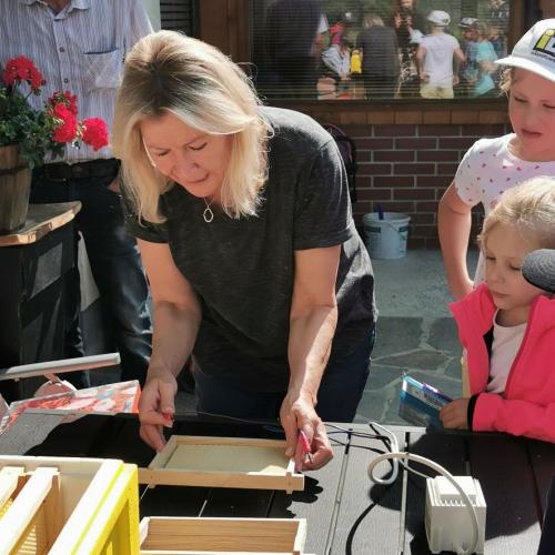 Imkerin legt Gitterrahmen in den Bienenstock