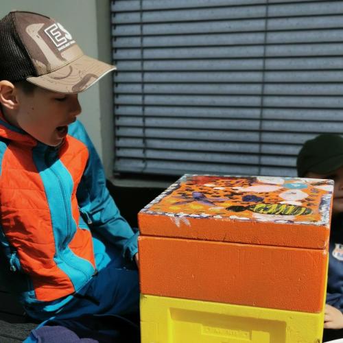 Kind schaut sich den Bienenstock an