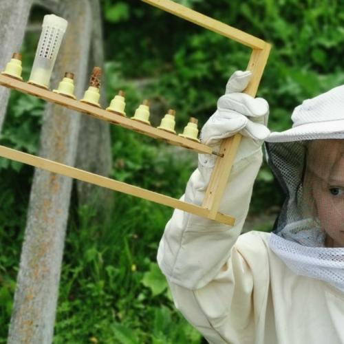 Kind in Imkerkleidung mit Gitterrahmen