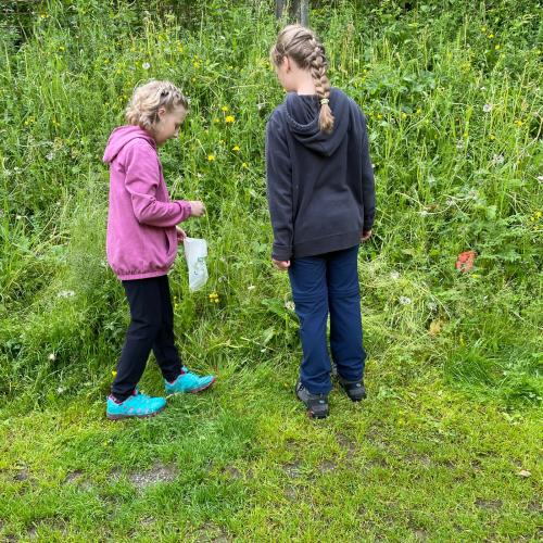 Kinder stehen vor hohem Gras und suchen Kräuter.
